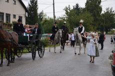 Véletlenszerű kiválasztás a galériából