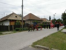 Véletlenszerű képgaléria