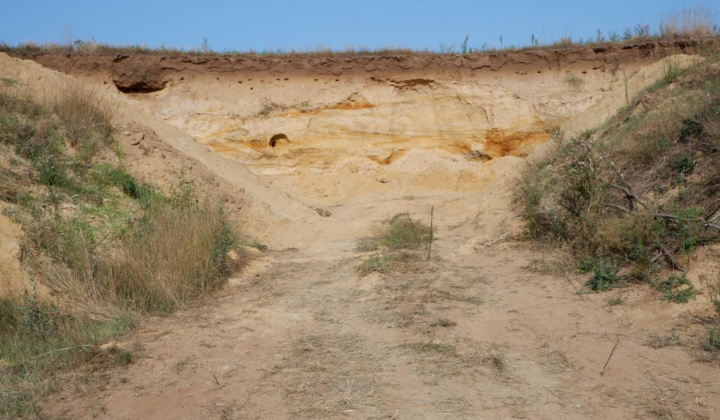 5. fotografia fotogalérie Paleontologický výskum 2021