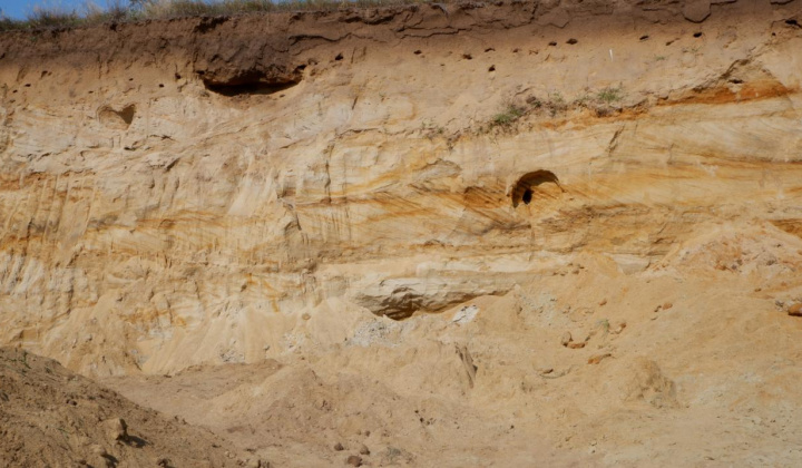 6. fotografia fotogalérie Paleontologický výskum 2021