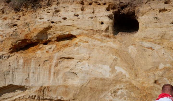 9. fotografia fotogalérie Paleontologický výskum 2021