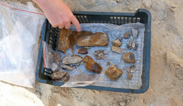10. fotografia fotogalérie Paleontologický výskum 2021