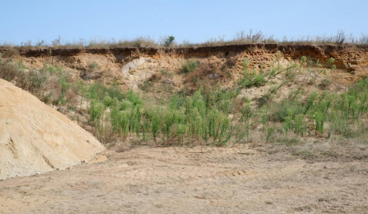 13. fotografia fotogalérie Paleontologický výskum 2021