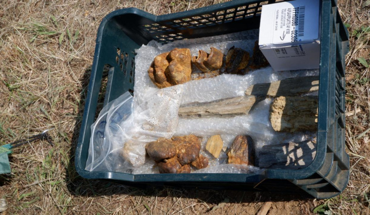 14. fotografia fotogalérie Paleontologický výskum 2021