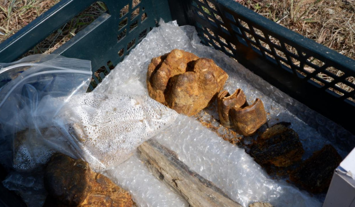 15. fotografia fotogalérie Paleontologický výskum 2021