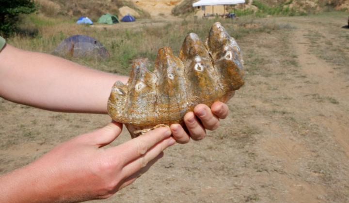 16. fotografia fotogalérie Paleontologický výskum 2021