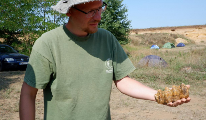 18. fotografia fotogalérie Paleontologický výskum 2021