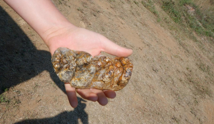 20. fotografia fotogalérie Paleontologický výskum 2021