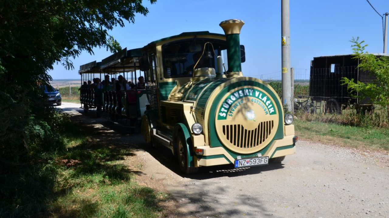Fotógaléria fotózás Festival vín