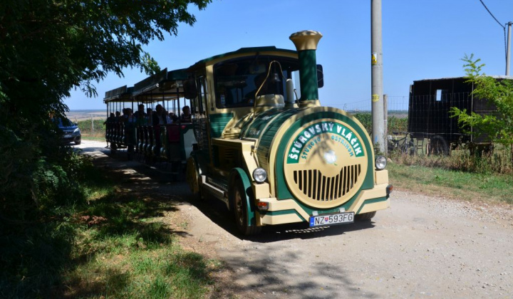 1. fotógaléria fotózás Festival vín