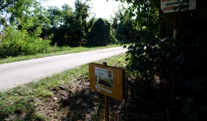 2. fotógaléria fotózás Festival vín