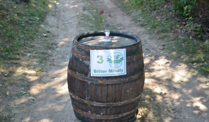 5. fotógaléria fotózás Festival vín