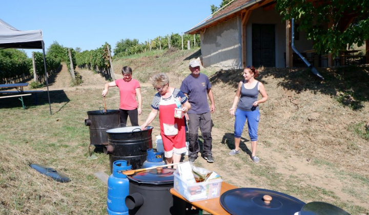 18. fotógaléria fotózás Festival vín