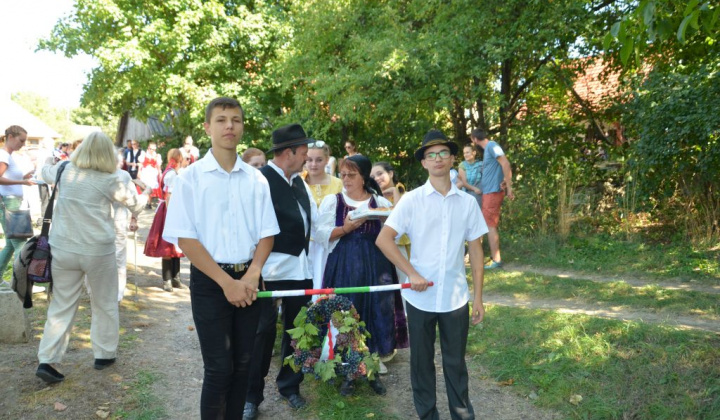 19. fotógaléria fotózás Festival vín