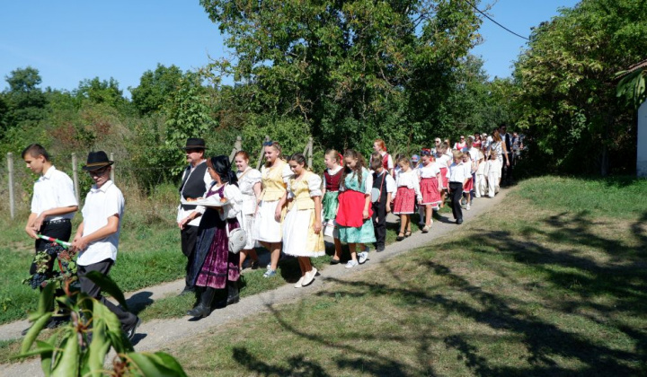 20. fotógaléria fotózás Festival vín