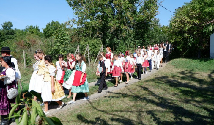 21. fotógaléria fotózás Festival vín