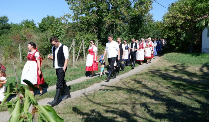 24. fotógaléria fotózás Festival vín