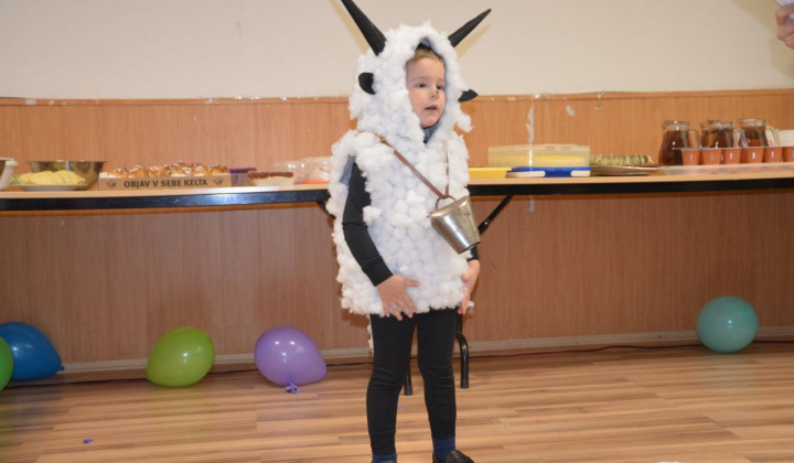 16. fotografia fotogalérie Maškarný ples detí