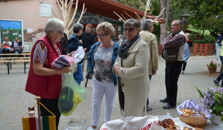 1. fotografia fotogalérie Oberačkové slávnosti v Budaörs-i