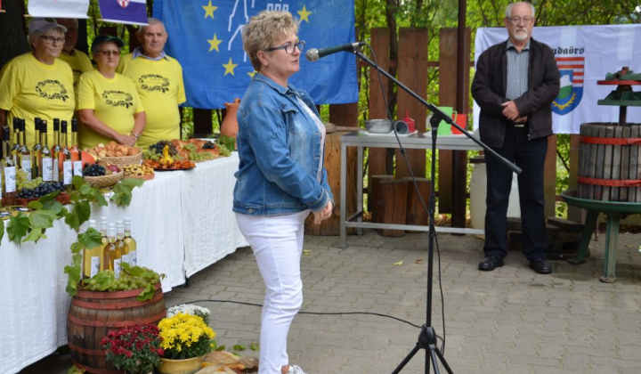 10. fotografia fotogalérie Oberačkové slávnosti v Budaörs-i