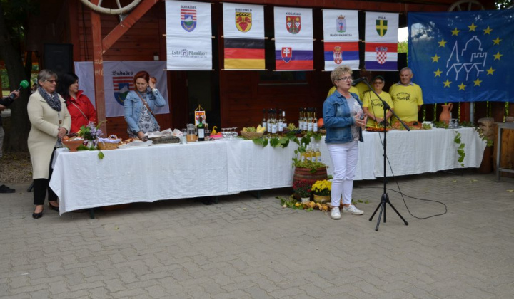 11. fotografia fotogalérie Oberačkové slávnosti v Budaörs-i