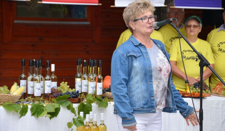 12. fotografia fotogalérie Oberačkové slávnosti v Budaörs-i