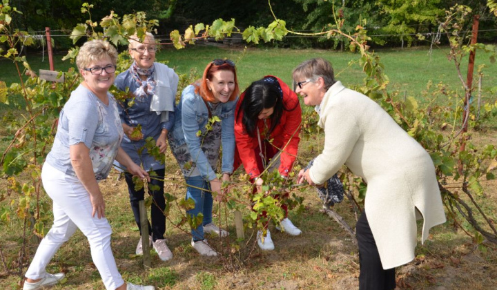 20. fotografia fotogalérie Oberačkové slávnosti v Budaörs-i