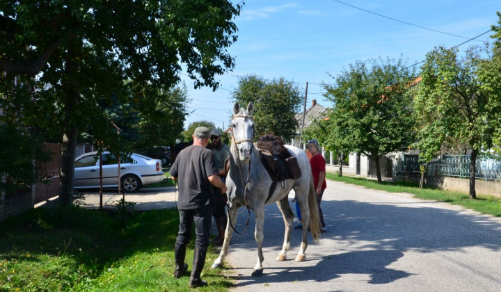 7. fotografia fotogalérie Chute, rytmy, nálady
