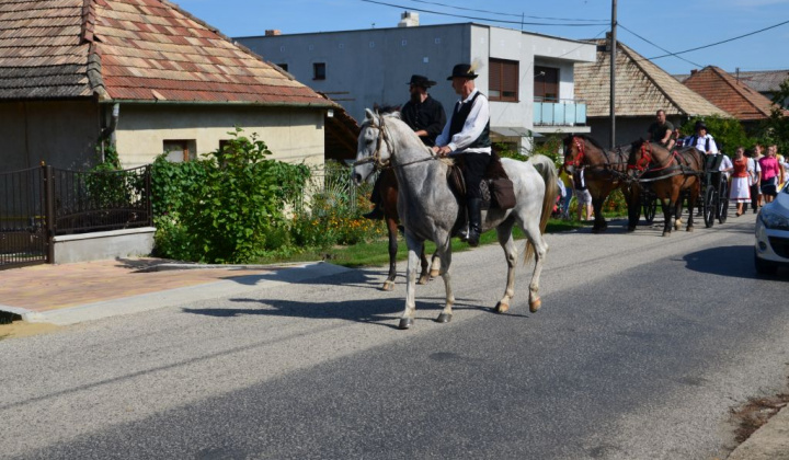 16. fotografia fotogalérie Chute, rytmy, nálady