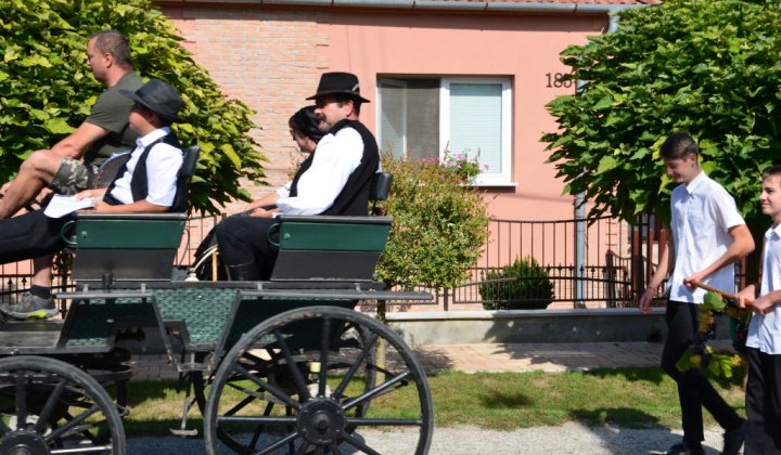 18. fotografia fotogalérie Chute, rytmy, nálady