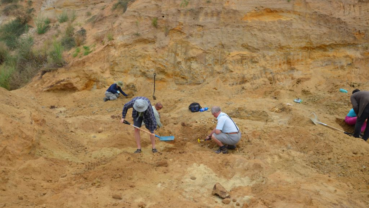 Fotógaléria fotózás Paleontologický výskum 2019