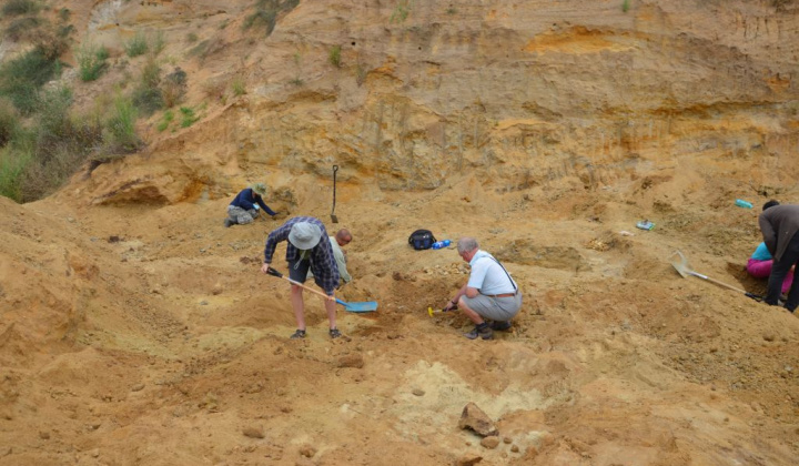 1. fotografia fotogalérie Paleontologický výskum 2019