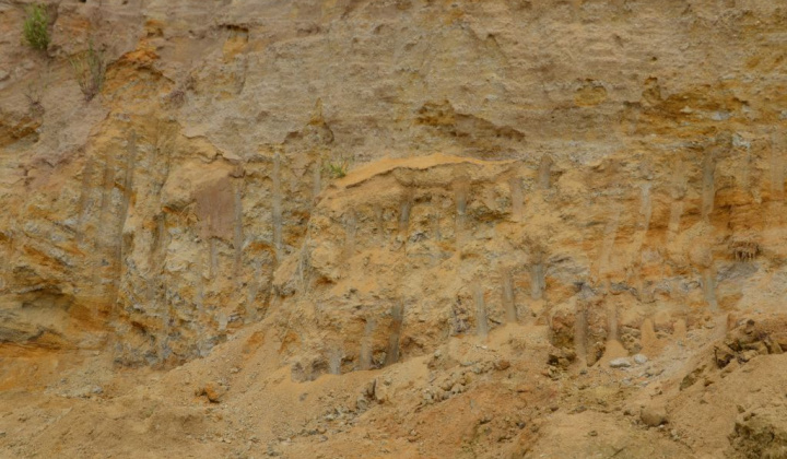 4. fotografia fotogalérie Paleontologický výskum 2019