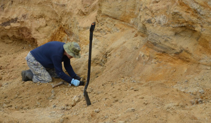 7. fotografia fotogalérie Paleontologický výskum 2019