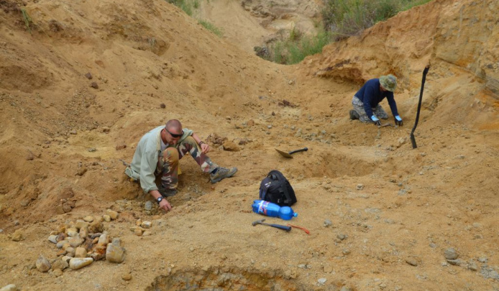 8. fotografia fotogalérie Paleontologický výskum 2019