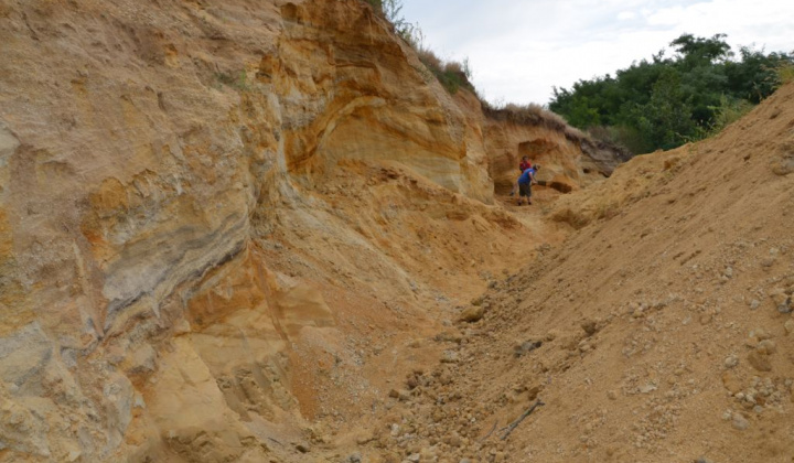 10. fotografia fotogalérie Paleontologický výskum 2019