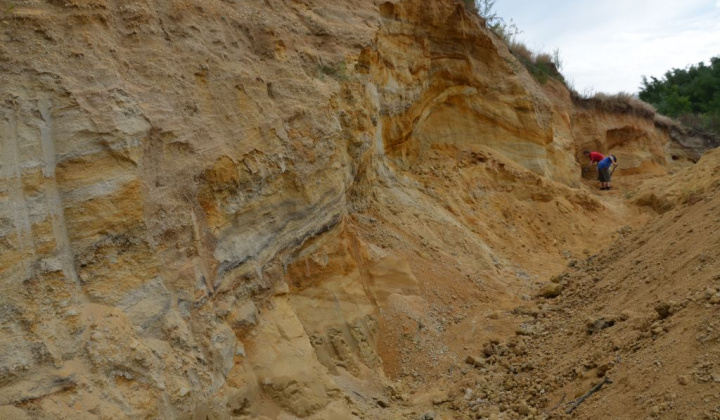 12. fotografia fotogalérie Paleontologický výskum 2019