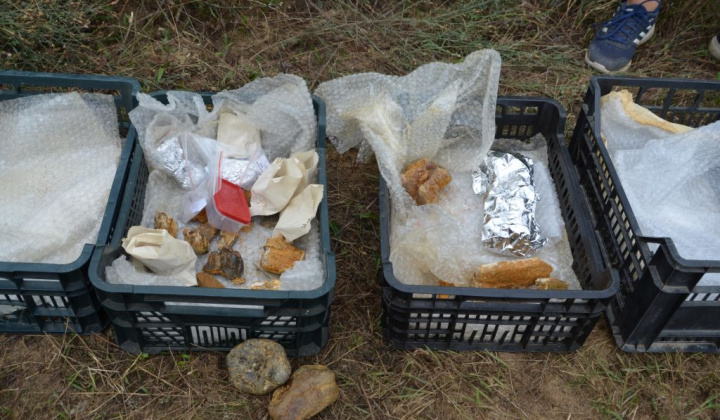 13. fotografia fotogalérie Paleontologický výskum 2019