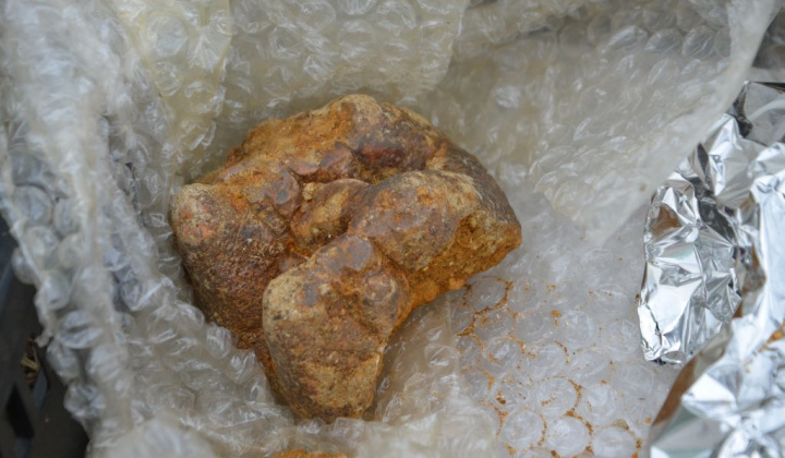 14. fotografia fotogalérie Paleontologický výskum 2019