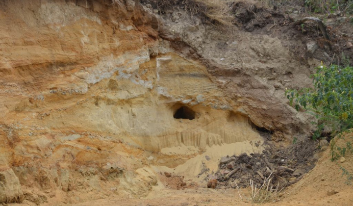 18. fotografia fotogalérie Paleontologický výskum 2019