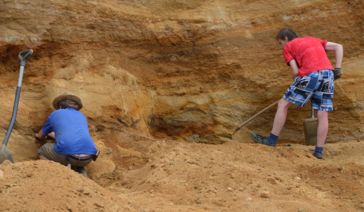 19. fotografia fotogalérie Paleontologický výskum 2019