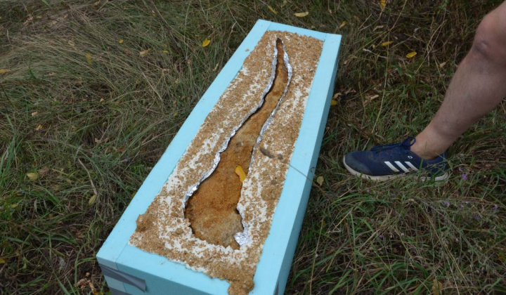 20. fotografia fotogalérie Paleontologický výskum 2019