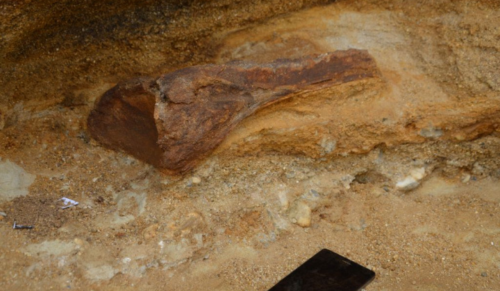 21. fotografia fotogalérie Paleontologický výskum 2019