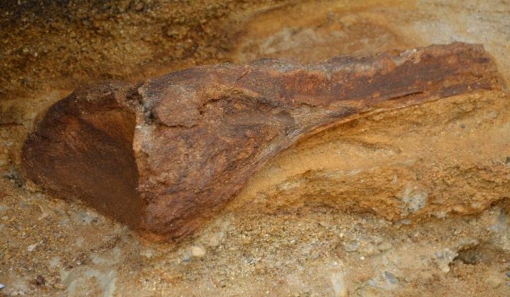 22. fotografia fotogalérie Paleontologický výskum 2019