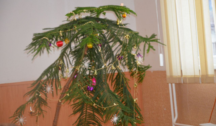 13. fotografia fotogalérie Ukončenie roka - Zväz telesne postihnutých ZO dôchodcovia