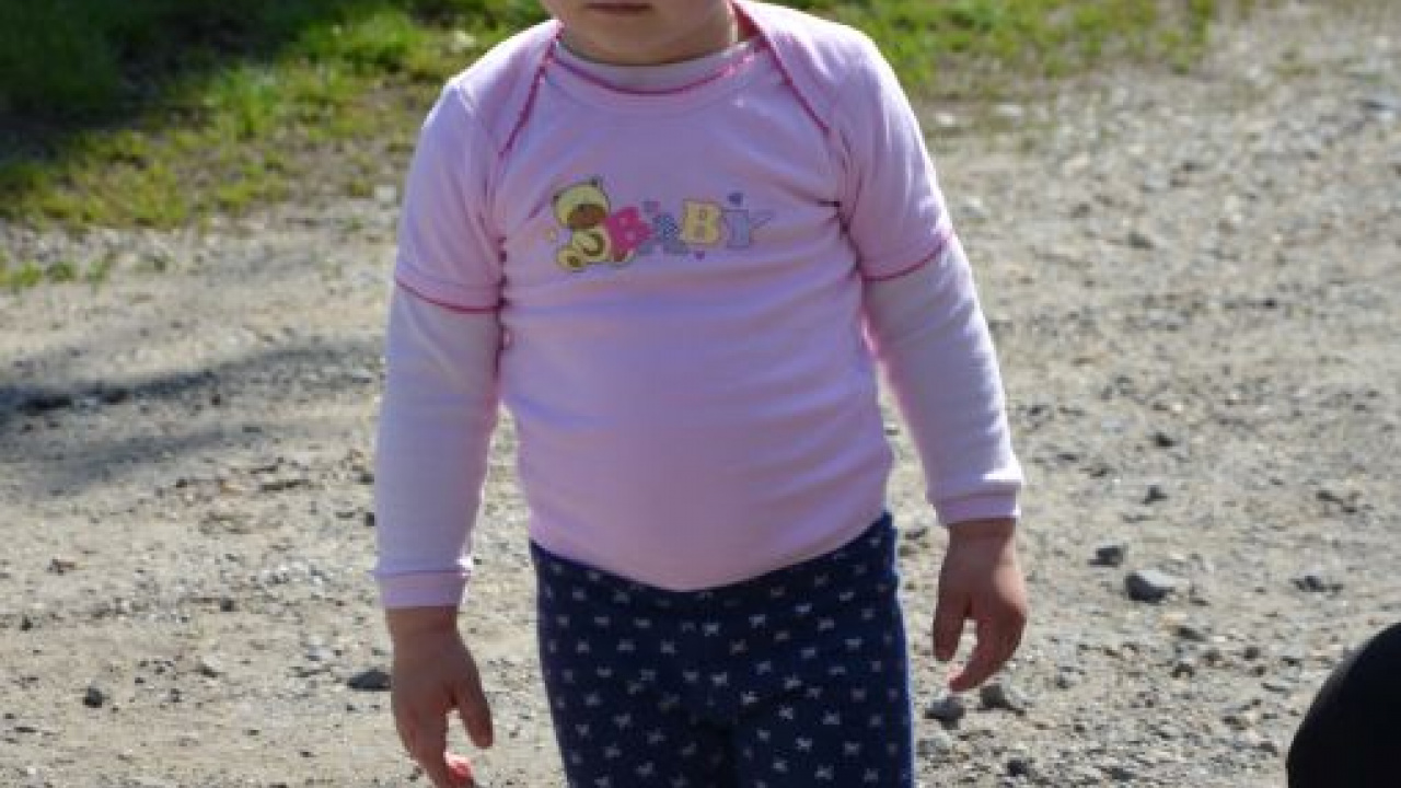 Fotógaléria fotózás Majáles