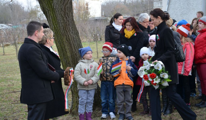 20. fotografia fotogalérie Oslava 15.marca