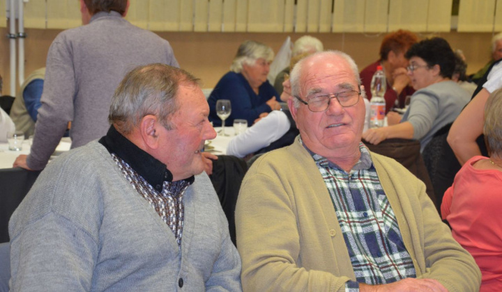 11. fotografia fotogalérie Deň dôchodcov