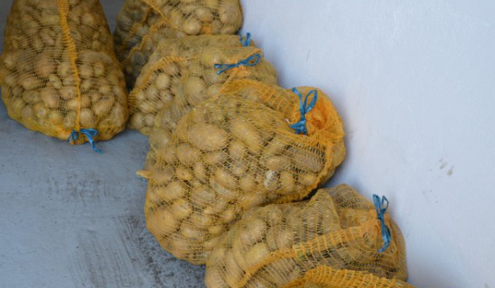 1. fotografia fotogalérie Úroda z obecnej záhrady