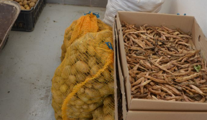 2. fotografia fotogalérie Úroda z obecnej záhrady